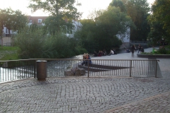 DSCF4905