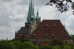 DSCF4991