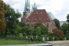 DSCF4994