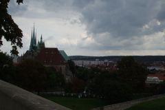 DSCF5011