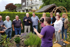 IMG-20190710-WA0039