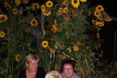 IMG-20191006-WA0020