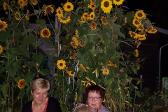 IMG-20191006-WA0030