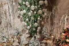 IMG-20191021-WA0007
