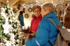 IMG-20191021-WA0008 (1)