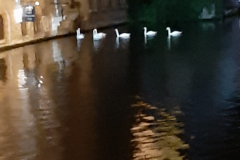 IMG-20191021-WA0012