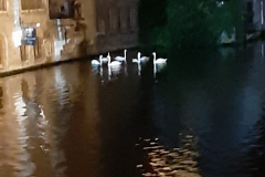IMG-20191021-WA0013