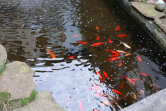 IMG-20191021-WA0021