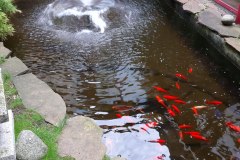IMG-20191021-WA0032