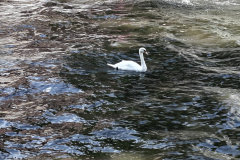IMG-20191021-WA0063 (1)