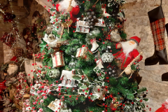 IMG-20191021-WA0077
