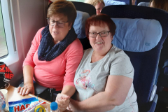 IMG-20191021-WA0085 (1)