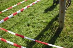 p9130036